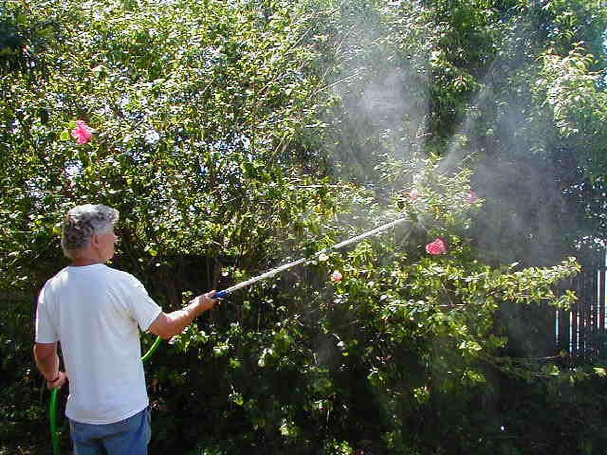 48" Commercial Bug Blaster